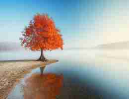 文‍字‍生​成‍视﻿频​的﻿软﻿件‍哪​个‍最‌好​用​呢‌